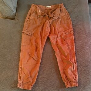 LOFT Chestnut Brown Pants